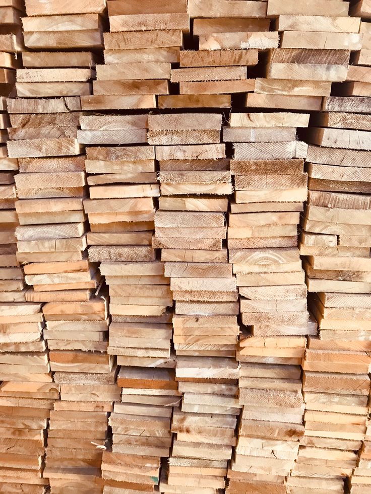 چوب نراد خیس