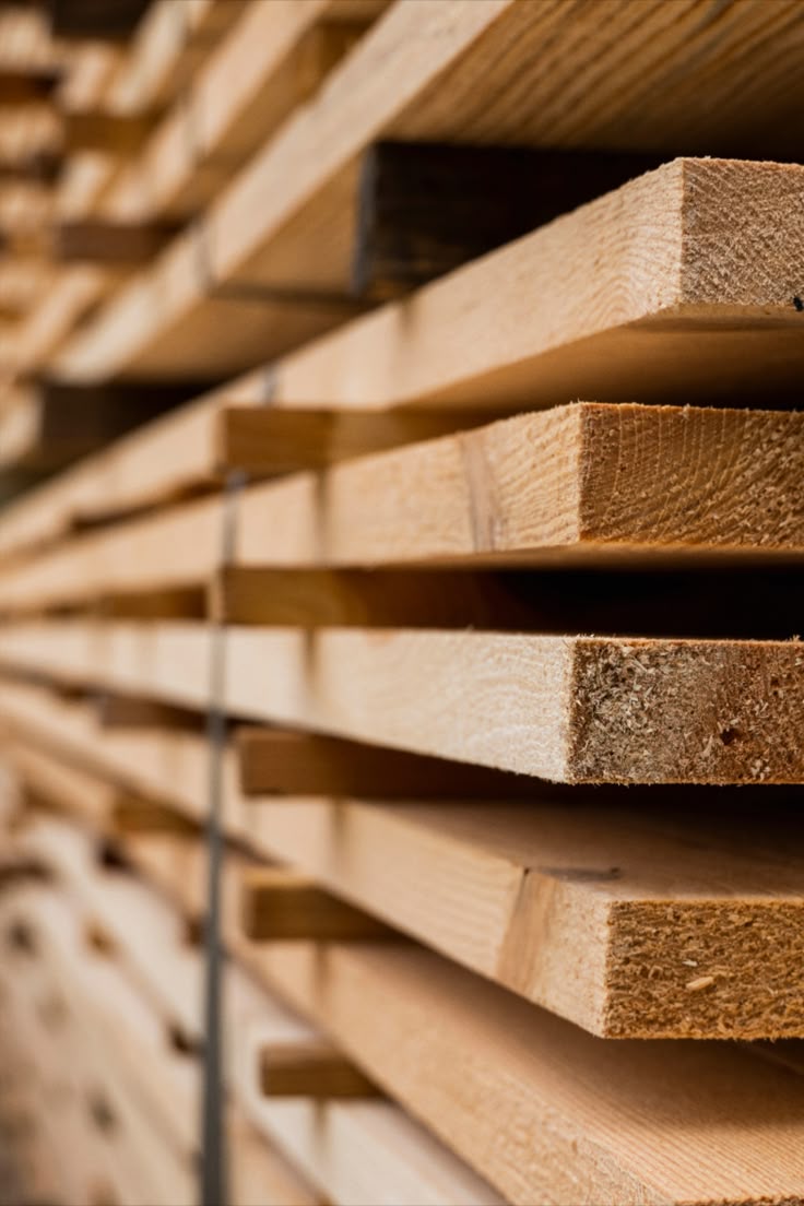 چوب نراد خشک کن رفته